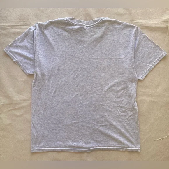 Hanes Heavy Weight 50/50 Vintage Tee Nebraska Novelty Graphic Shirt Adult Large - Picture 2 of 6